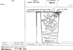 GOLDEN NECTAR IGA REAL LEATHERWOOD