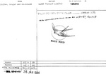 BLUE BIRD