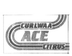 ACE CURLWAA CITRUS