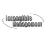 INTANGIBLE MANAGEMENT
