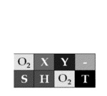 O2XY - SHO2T