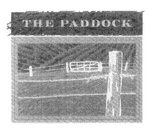 THE PADDOCK