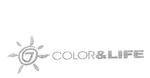 7 COLOR & LIFE