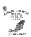BANGSUE CHIA MENG RICE MILL GOLDEN CARP 1