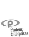 P PROTEUS ENTERPRISES