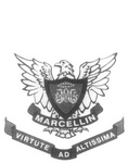 M MARCELLIN VIRTUTE AD ALTISSIMA