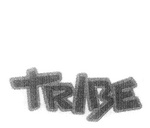 TRIBE
