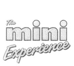 THE MINI EXPERIENCE