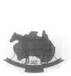 AUSTRALIAN STOCK HORSE SOCIETY