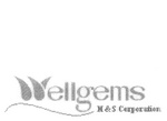 WELLGEMS H & S CORPORATION