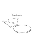 FUTURE SNAPSHOT