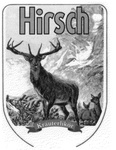 HIRSCH KRAUTERLIKOR