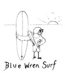BLUE WREN SURF