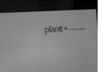 PLANT + HAIR.CARE