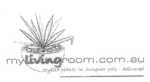 MYLIVINGROOM.COM.AU STYLISH PLANTS IN DESIGNER POTS - DELIVERED