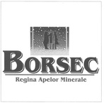 BORSEC REGINA APELOR MINERALE