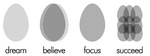 DREAM BELIEVE FOCUS SUCCEED