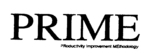 PRIME PRODUCTIVITY IMPROVEMENT METHODOLOGY
