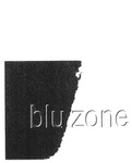 BLU ZONE