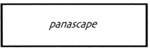 PANASCAPE