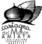 CASTAGNA DEL MONTE AMIATA INDICAZIONE GEOGRAFICA PROTETTA