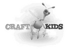 CRAFT KIDS