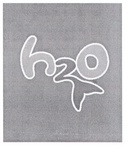 H2O