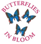 BUTTERFLIES IN BLOOM