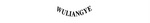 WULIANGYE