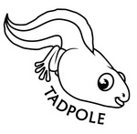 TADPOLE
