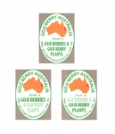 GOJI BERRY AUSTRALIA FRESH GOJI BERRIES & GOJI BERRY PLANTS ; WWW.GOJIBERRYAUSTRAILIA.COM.AU
