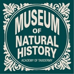 MUSEUM OF NATURAL HISTORY ACADEMY OF TAXIDERMY