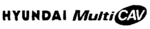 HYUNDAI MULTICAV