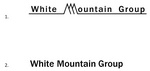 WHITE MOUNTAIN GROUP