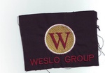 W WESLO GROUP