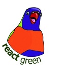 REACT GREEN