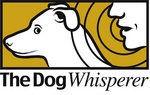 THE DOG WHISPERER