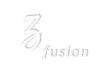Z FUSION