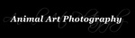 ANIMAL ART PHOTOGRAPHY