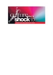 CULTURE SHOCK 1.0 STIMULATE YOUR MIND SURPRISE YOUR SENSES