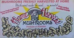 MUSHROOMS FRESHLY HARVESTED AT HOME MUSHROOMS MAKE THE MEAL... IN MINUTES GROWS FRESH MUSHROOMS OVER AN 8 WEEK PERIOD FREE RECIPE BOOKLET INSIDE HOME HARVEST MUSHROOMS PRODUCE OF AUSTRALIA