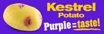 KESTREL POTATO PURPLE = TASTE!