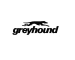 GREYHOUND