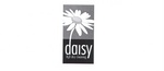 DAISY H2O DRY CLEANING