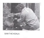 SAM THE KOALA CFA
