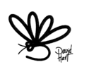 DAVID HART