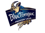 BLUETONGUE PREMIUM LAGER