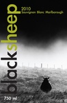BLACKSHEEP 2010 SAUVIGNON BLANC MARLBOROUGH