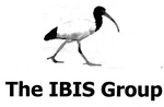 THE IBIS GROUP
