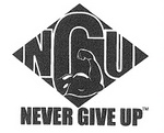 NGU NEVER GIVE UP